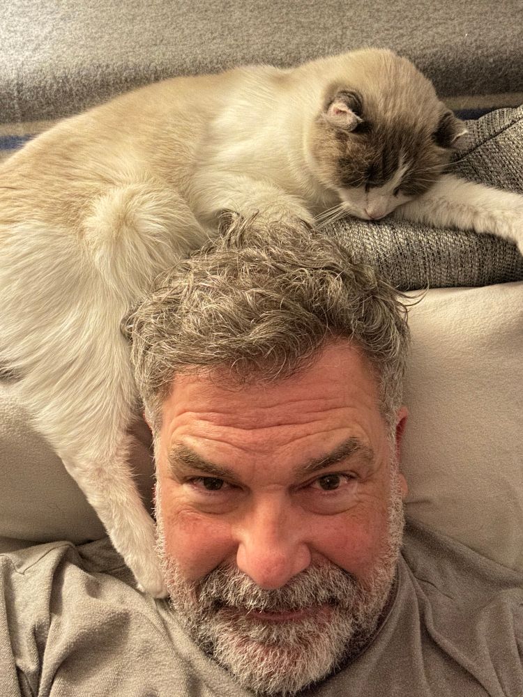 Man with grey hair and beard sharing his pillow with a grey and white American Curl cat
