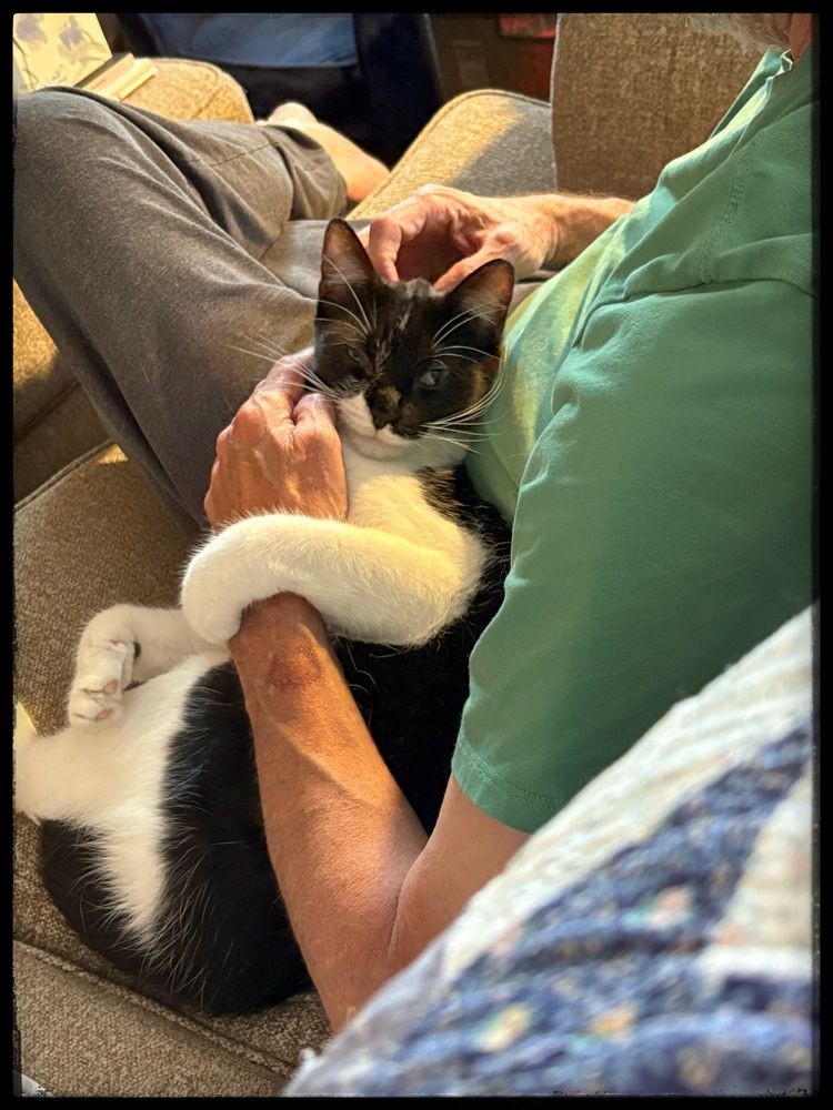 A young spoiled Ernie relaxes whilst receiving scritches.