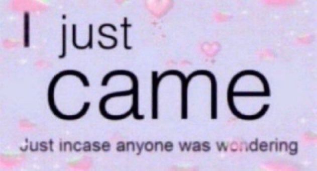 Text that reads “I just came; just incase anyone was wondering” with hearts in the background 