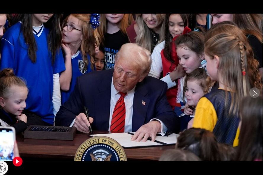 Comment image