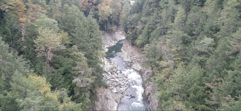 A deep gorge in late summer, cutting through rock and shale with rapids.