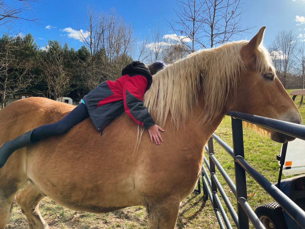 Same but it’s fall, he’s fatter, and there’s a boy in a coat on his back clinging to his neck in a hug 