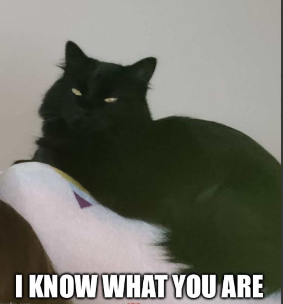 Same cat image but with thei know what you are homophobic dog meme text