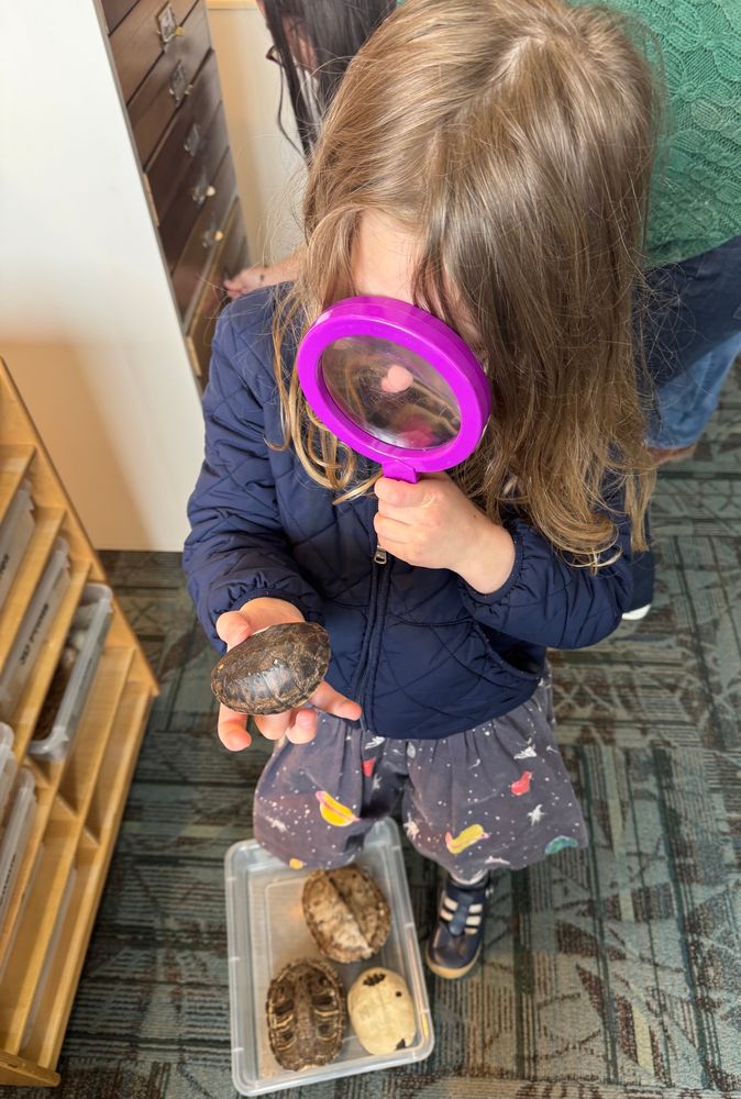 Child looking through a huge pink magnifying glass at a turtle shell 