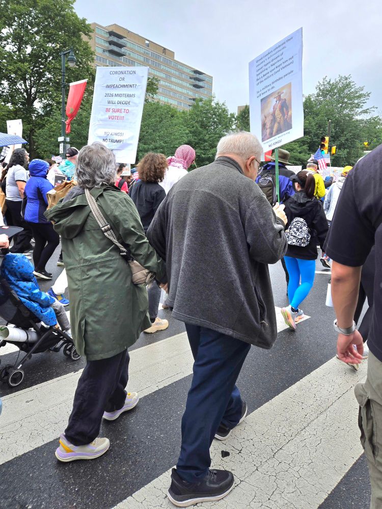 Her sign text: 
"CORONATION OR IMPEACHMENT? 
2026 MIDTERMS WILL DECIDE
BE SURE TO VOTE!!!
NO KINGS!
NO TRUMP!"

His sign text:
"Great Leaders celebrate their
country's achievements
Lesser types dream of
becoming a Napoleon
But a bone spur kept him out of the military (and Vietnam)
so a military birthday parade will have to do."