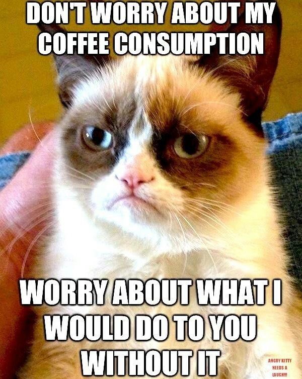 Grumpy Cat saying: Don't worry about my Coffee consumption. Worry about what I would do to you. 