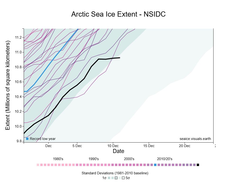Detail of an Arctic sea ice extent chart showing 11/12/2024 at 10.93 million km², 230,000 km² less than the previous low set in 2016.