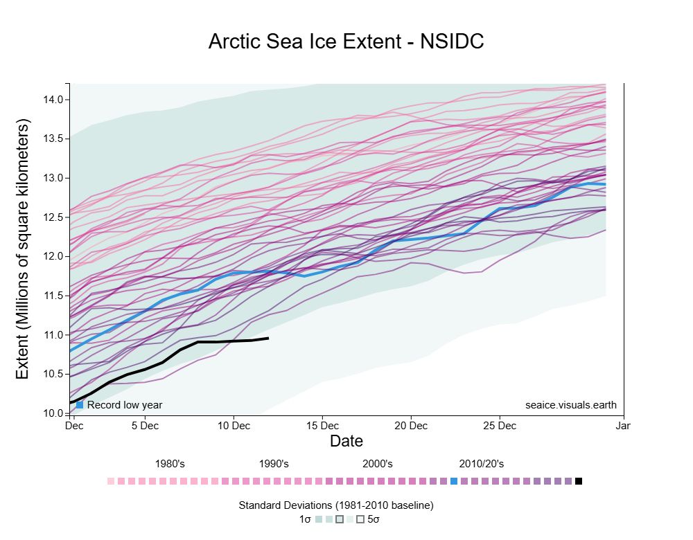 Arctic sea ice extent chart showing 10.96 million km² for 12/12/2024, 300,000 km² below the next year higher 2016.