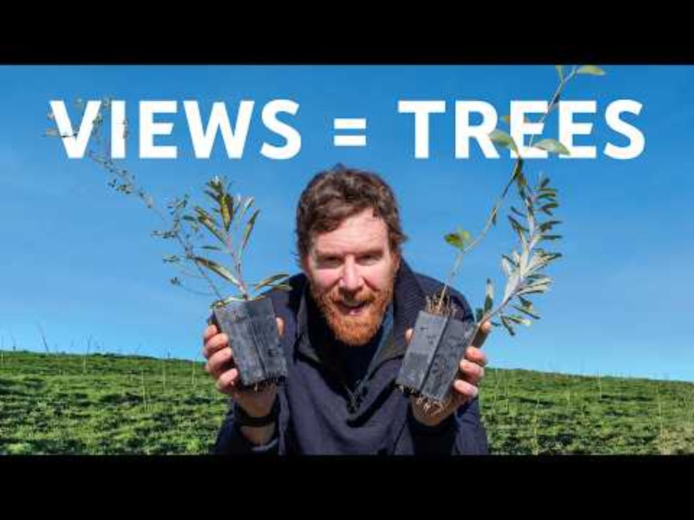 Using YouTube to plant a forest