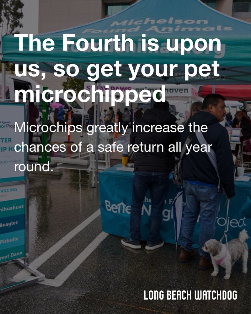 The Fourth is upon us, so get your pet microchipped.
Microchips greatly increase the chances of a safe return all year round.