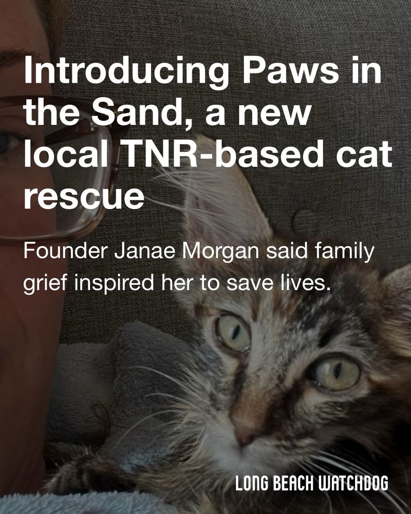 Introducing Paws in the Sand, a new local TNR-based cat rescue.
Founder Janae Morgan said family grief inspired her to save lives.