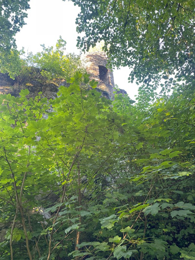 Burg Stierberg