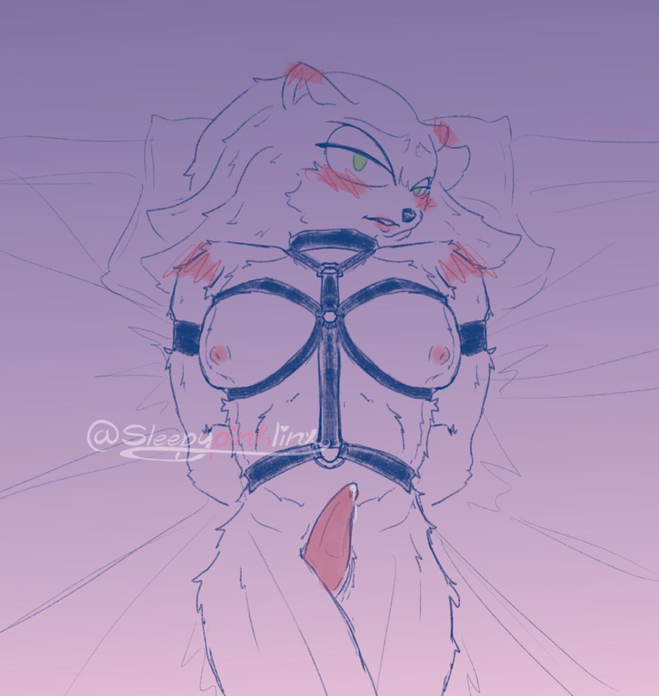 Sonic The Hedgehog tide down on the bed with a bit of precum on his dick as Shadow look at him 