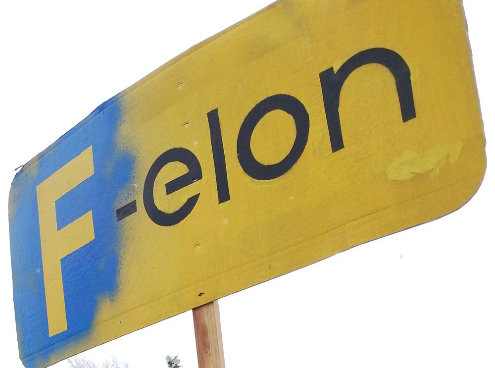 Protest Sign:  F-elon