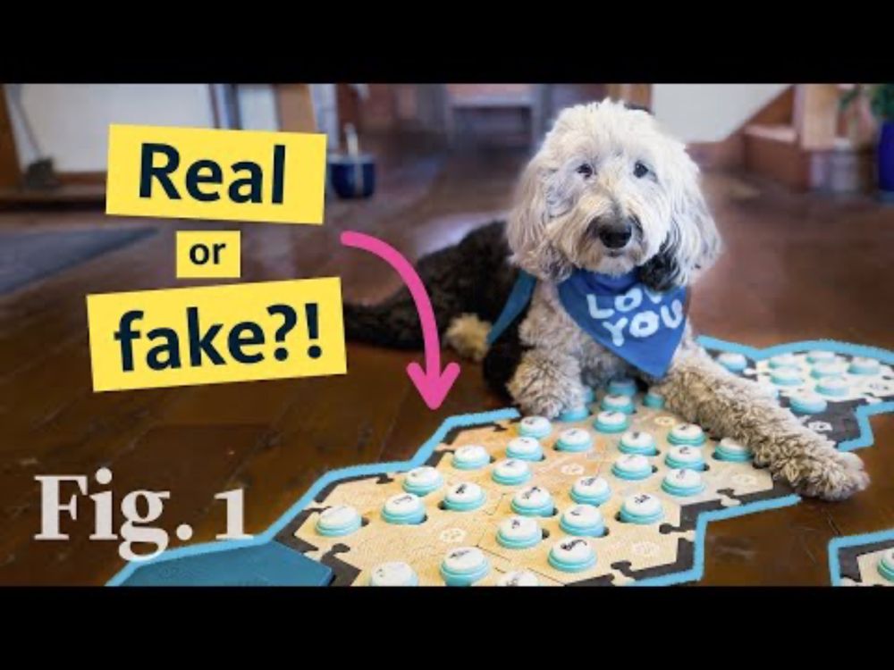 Are TikTok’s “talking" dogs legit — or just a clever trick? Science explains