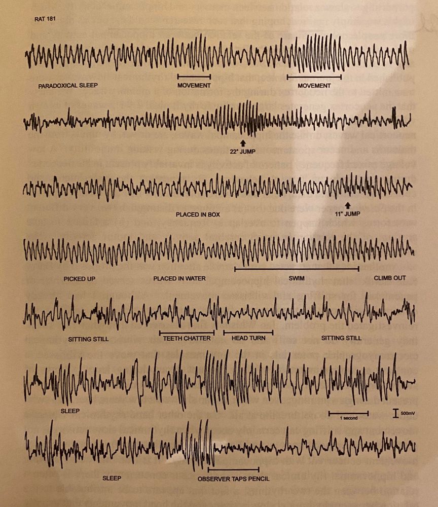 A figure from the book with hippocampal traces from different behavioral states
