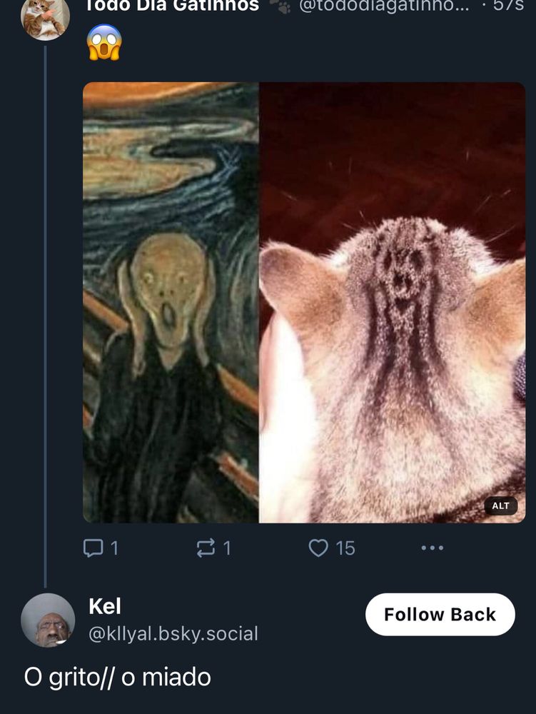 A mesma foto montagem do quadro o grito só que agora é um print de um seguidor da página todo dia gatinhos comentando: 

“O grito/ o miado” 

Perdão, meu público é bobo kkkkkkkkkk