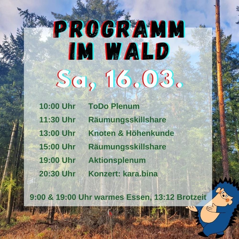 Der Programmtext vor einem waldigen Hintergrund.