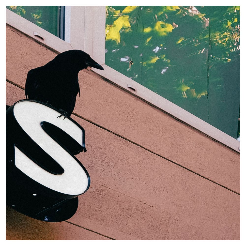 a crow perched on a letter S