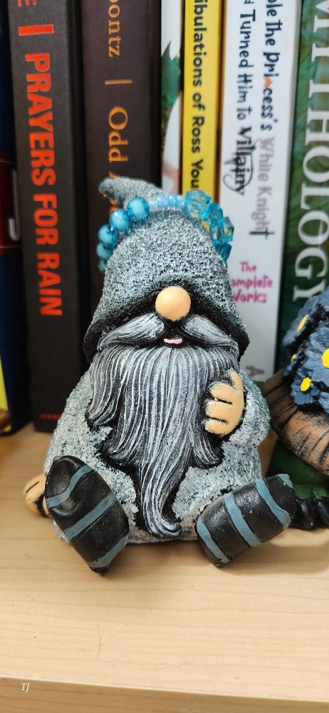 Blue and grey gnome guarding books