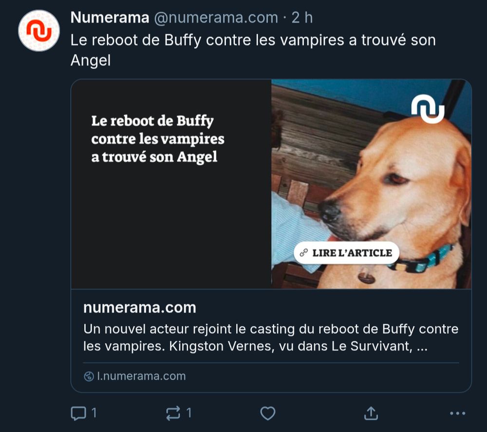 Un blousque de Numerama avec une photo de chien qui illustre l'article (Le reboot de Buffy contre les vampires a trouvé son Angel)