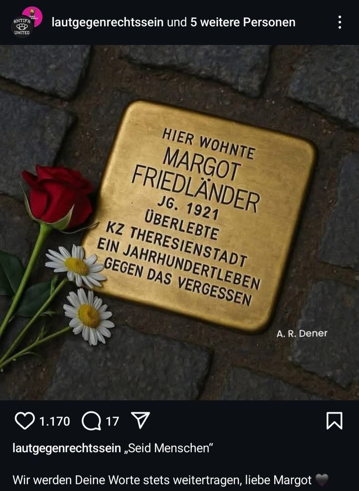 Man sieht einen goldenen Gedenkstein zwischen grauen Pflastersteinen, mit den mittig verfassten Worten:
1. Zeile: Hier wohnte 2: Margot
3: Friedländer 4: JG. 1921 5: überlebte
6: KZ Theresienstadt 7: ein Jahrhundertleben und 8. Zeile: gegen das Vergessen. 
