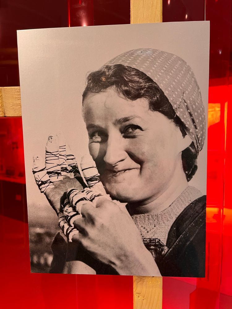 This is a portrait of a woman worker in the herring industry. She smiles but her mouth holds a wire she is pulling as she tightens a bandage on her fingers. ‘Portrait of a woman with bandaged fingers’, courtesy Waterlines Lybster 