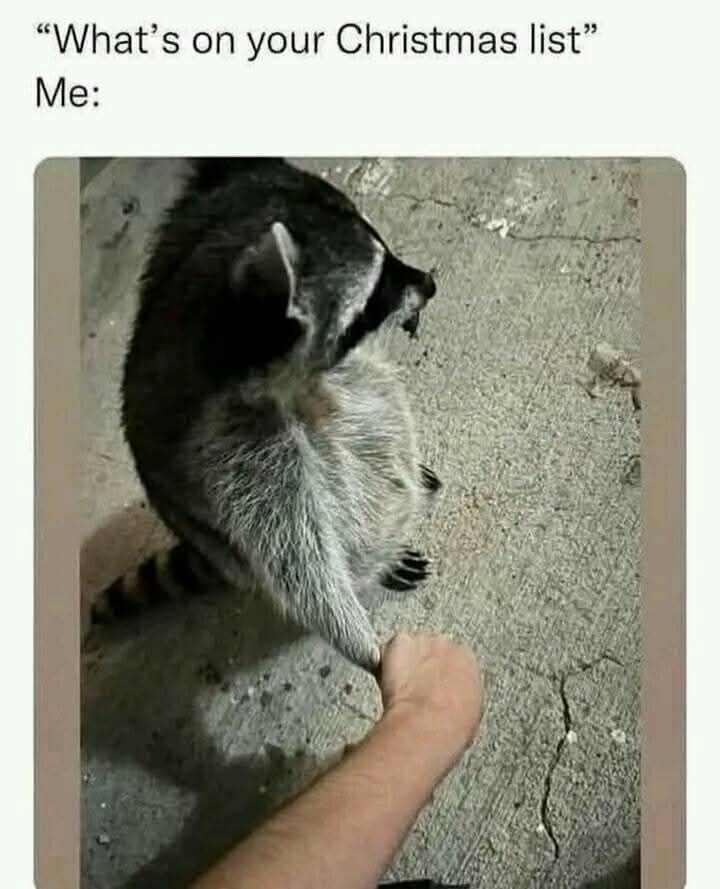 What's on your Christmas list?
Me: 
Pictured is a person holding hands with a raccoon