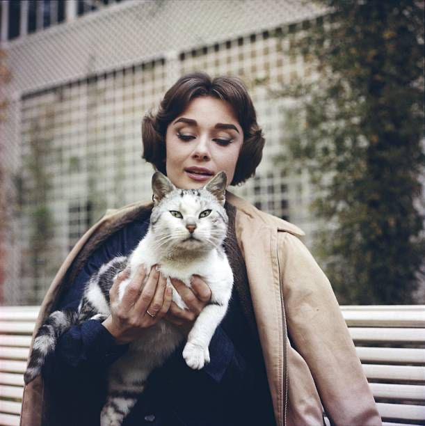 Hepburn holds up the cat to the camera. 