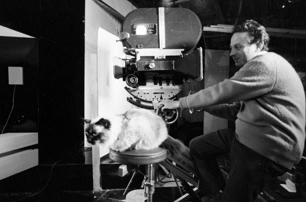 The cat sits on a stool in front of Donner, at a film camera 