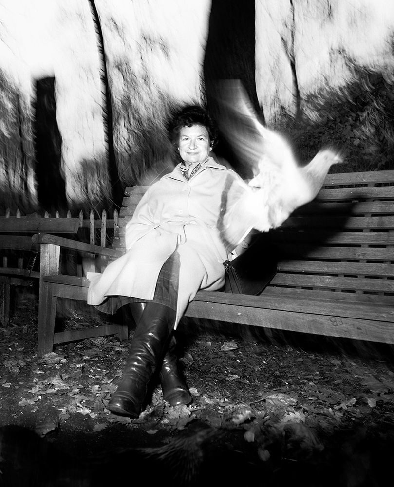 James sits on a London park bench; a motion-blurred pigeon flies up in front of her.