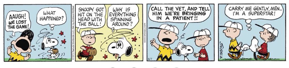 Daily Peanuts strip

Charlie Brown: Aaugh! We lost the game!

Snoopy, in a daze: What happened?

Linus comes running: Snoopy got hit on the head with the ball!

Snoopy: Why is everything spinning around?

Charlie Brown: Call the vet, and tell him we're bringing in a patient!!

Charlie Brown & Linus carry Snoopy off. He thinks, Carry me gently, men... I'm a superstar!