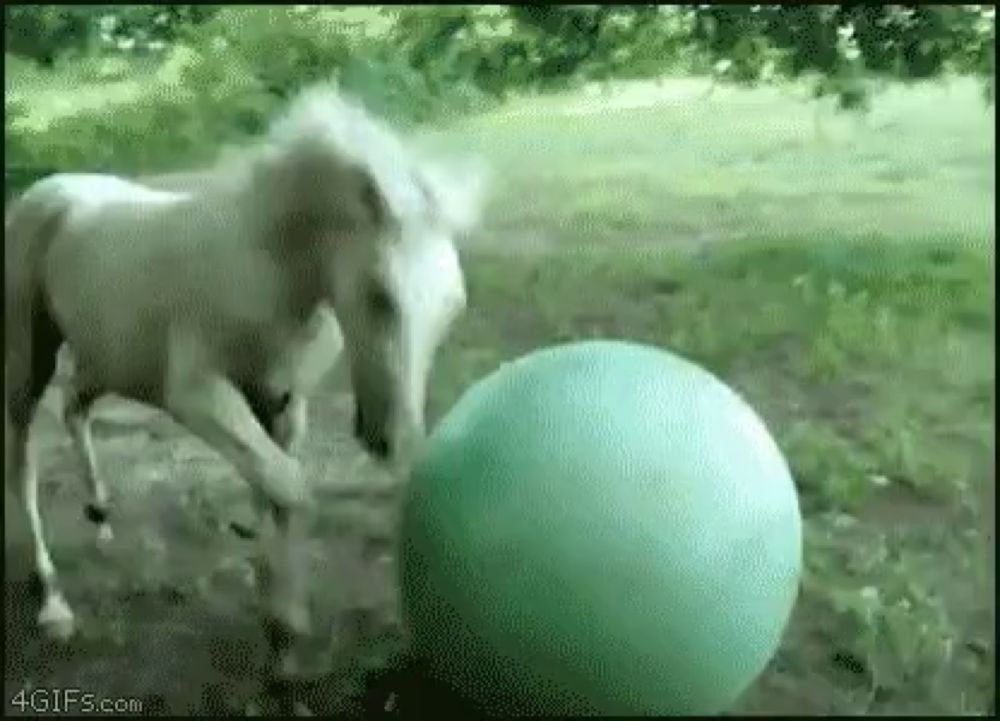 a horse is playing with a green ball on the ground .