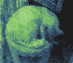 my old cat curled up in a ball