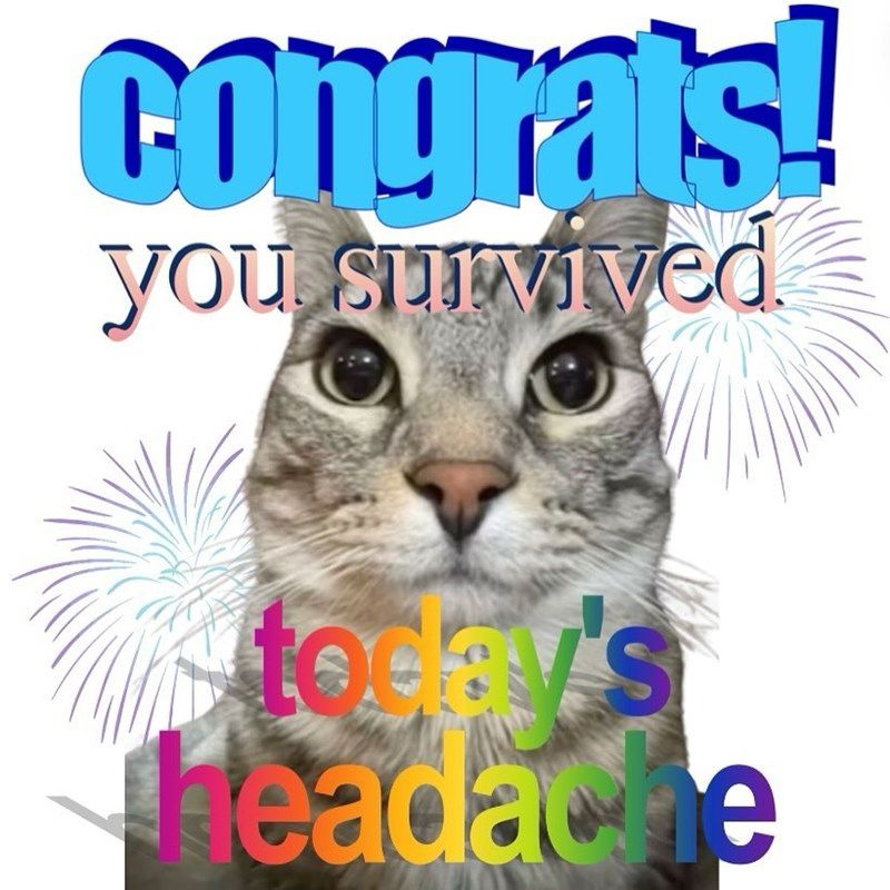 a meme of a grey tabby cat that says in mixed word art font “congrats you survived todays headache”