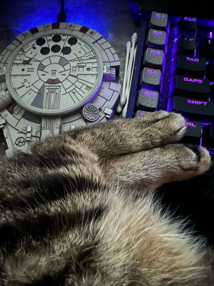tabby cat toes on a black mechanical keyboard with purple rng lighting. there’s also a millenium falcon phone charging pad and some complimentary kitty belly fluff.