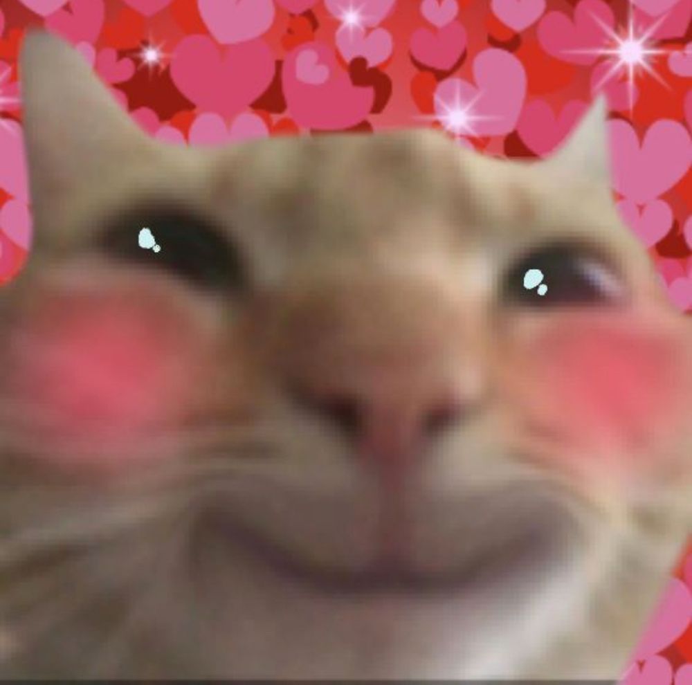 an orange cat blurred and smiling with sparkles in their eyes and exaggerated blush, the entire background is covered with hearts