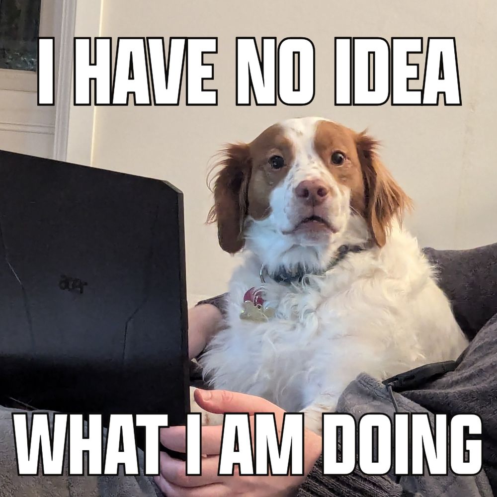 A red and white dog in front of a laptop with his mouth slightly open looking kinda stupid with the text "I have no idea what I am doing" overlaid on top 