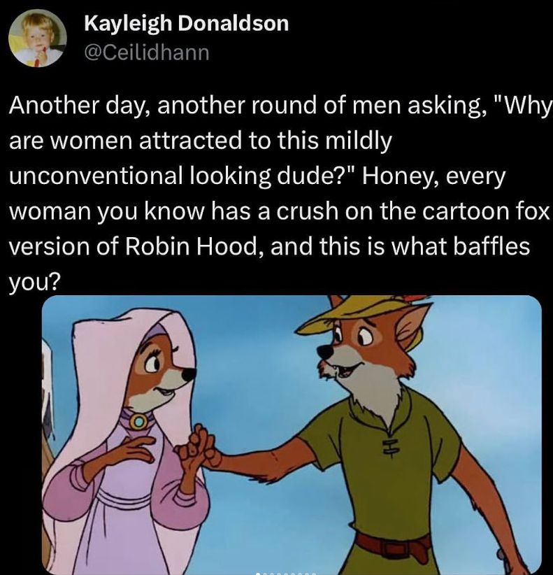 Screenshot of a tweet from Kayleigh Donaldson @ceilidhann

Text reads: "Another day, another round of men asking, 'Why are women attracted to this mildly unconventional looking dude?' Honey, every woman you know has a crush on the cartoon fox version of Robin Hood, and this is what baffles you?"