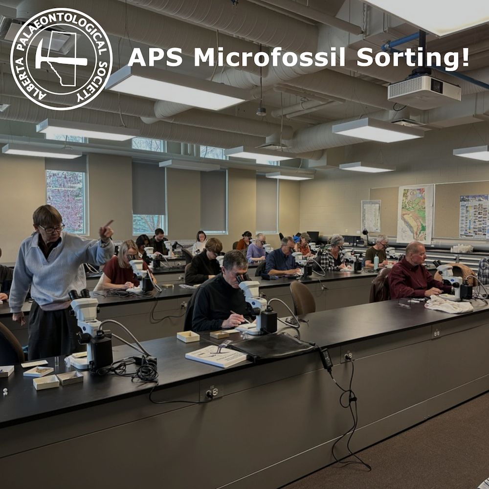 An image of lots of people sorting fossils. They're looking at microscopes and arranged along a few laboratory benches.