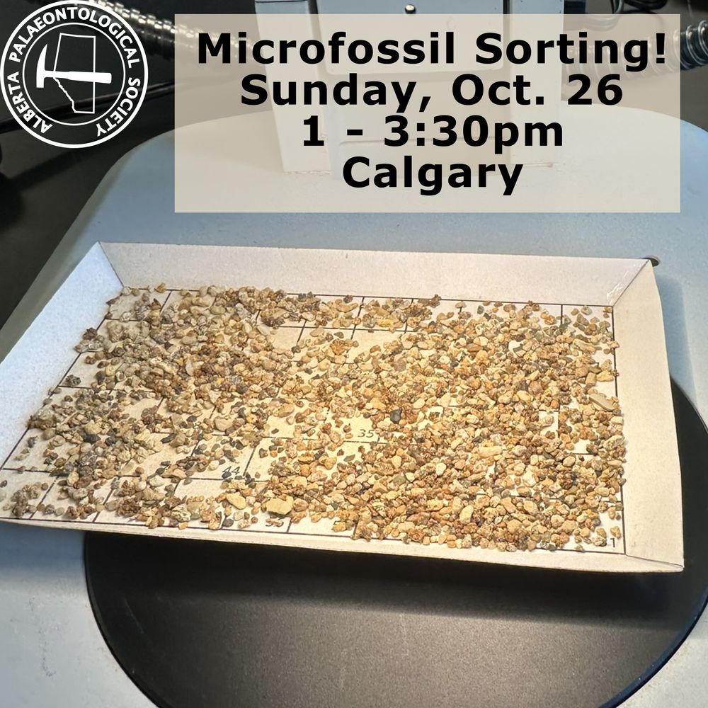 A poster describing the microfossil sorting event. The background is an image of a tray of matrix in the viewing field of a microscope. In the top left corner is the Alberta Palaeontological Society logo and in the middle is text describing the time and place of the event.