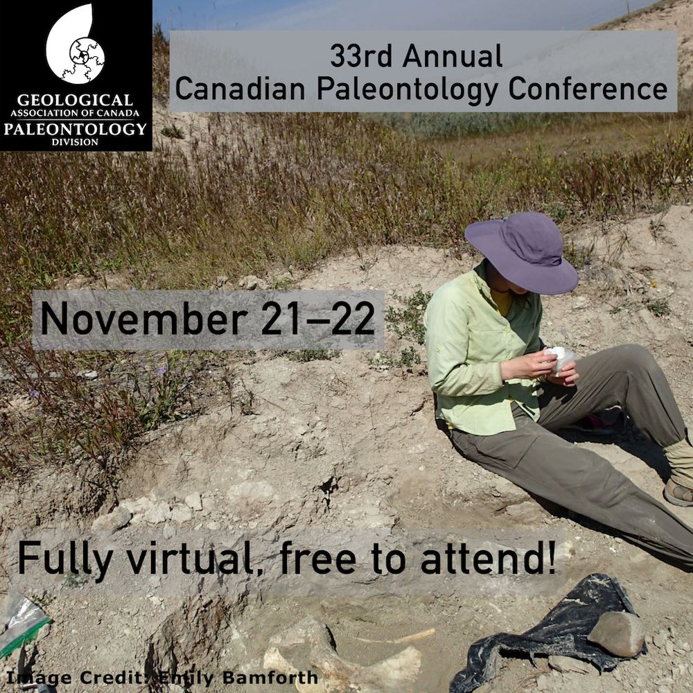 Poster describing the dates of the conference and how to attend. The background is of a palaeontologist wearing a purple hat, green shirt, and brown pants in a small pit. At the bottom of the pit are some brontothere bones. The palaeontologist is holding a small, white object which she is examining closely.