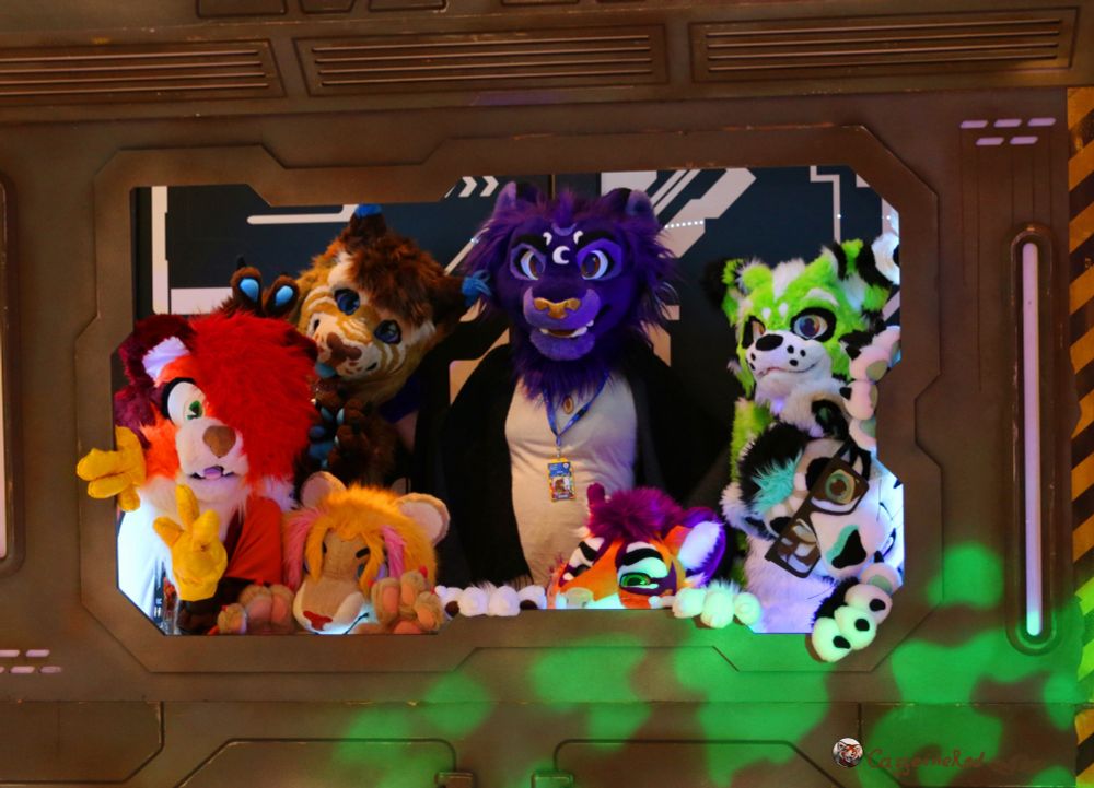 Photo of a group of big cat fursuitters