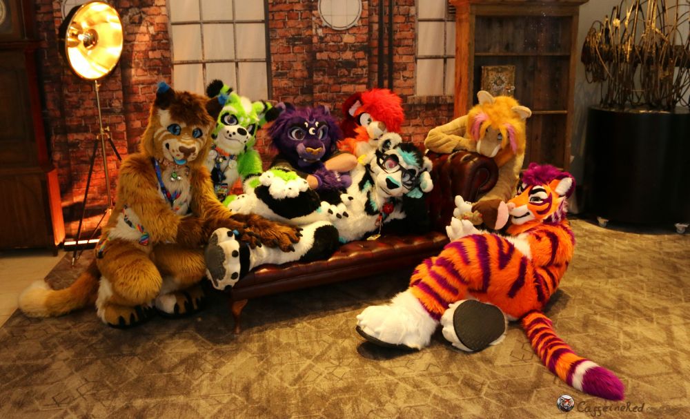 Photo of a group of big cat fursuitters