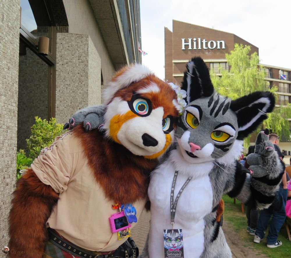 Photo of myself dressed as my anthropomorphic character caffeine red and Shanie tabby cat dressed as her anthropomorphic character. 