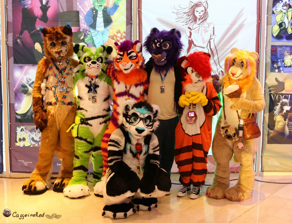 Photo of a group of big cat fursuitters