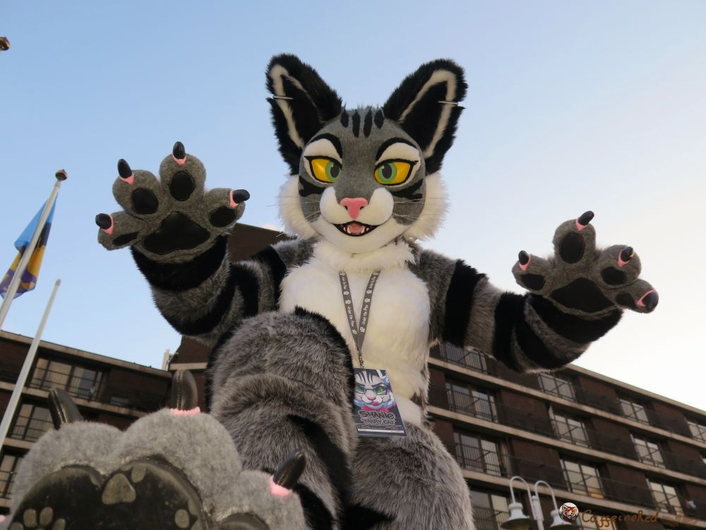 Shanie dressed as her anthropomorphic tabby cat character and about to pounce. 