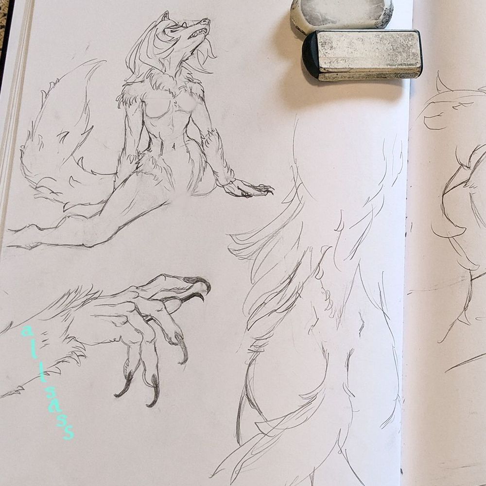 Traditional art. Pencil studies on a sketchbook page. Top left: A werewolf female does the splits. She has shaggy fur on her forearms, shoulders, hips and neck. Her fluffy tail has feathering all along it that looks like spikes. Bottom left: A closeup of a werewolf's hand with long nails. It is the same character. Her shaggy forearm fur ends at the wrist, and her knuckles are rounded like a canine's. Bottom right: Loose sketch of a werewolf girl's butt, tail and lower back. Her long furry mane extends down her back and ends at the dimples from her hip bone. 