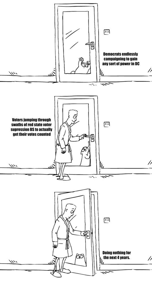 A meme with Simon's cat clawing desperately to get through a closed door, labeled: "Democrats endlessly campaigning to gain any sort of power in DC"

Simon reaches for the doorknob, labeled: "Voters jumping through swaths of red state voter suppression BS to actually get their votes counted."

Simon opens the door and the cat just stands there, labeled "Doing nothing for the next 4 years."