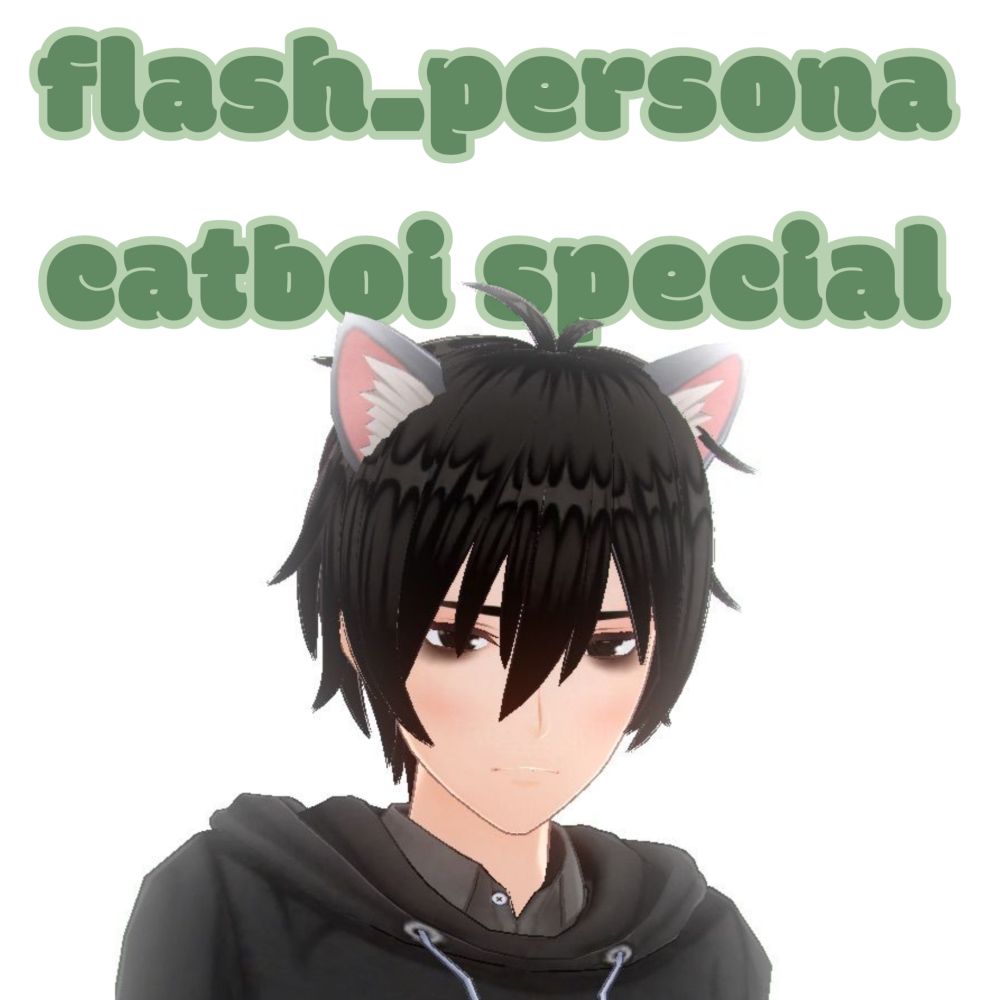 Green text 'flash_persona catboi special' with a drawing of an anime style catboy with black hair wearing a black hoodie underneath